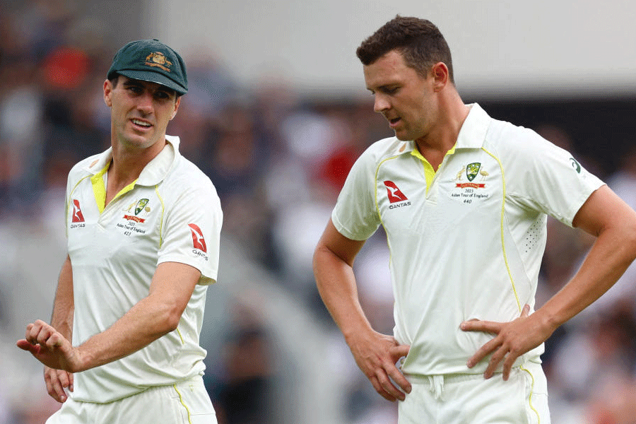 Pat Cummins and Josh Hazlewood.