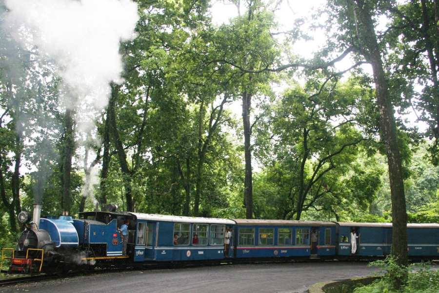 A Darjeeling Himalayan Railway train wends its way through the Sukna forest.