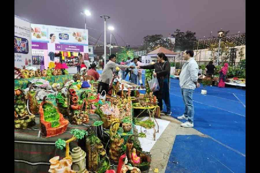 Pictures by Brinda Sarkar