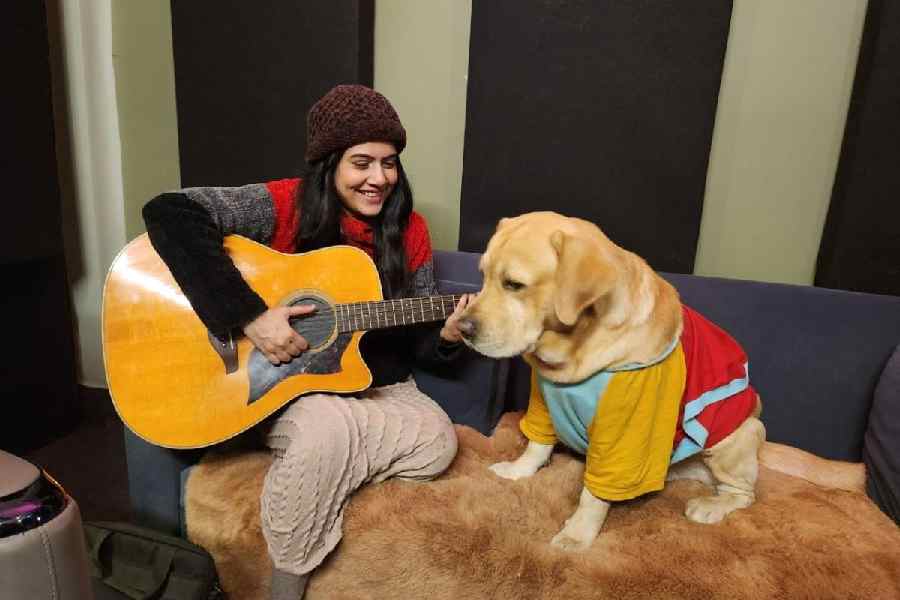 Pawpins listens intently as Debanjali Lily sings for him.