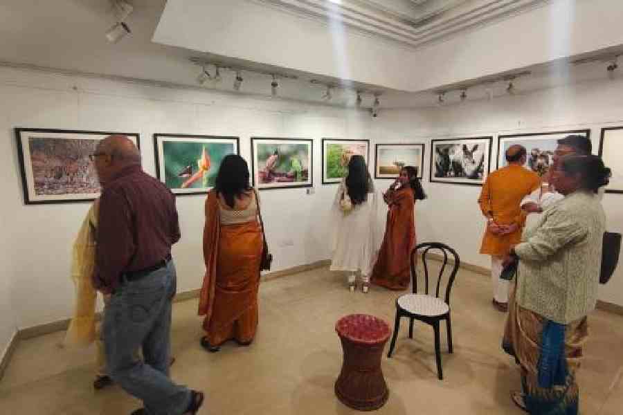 Visitors to the exhibition that concluded on Sunday