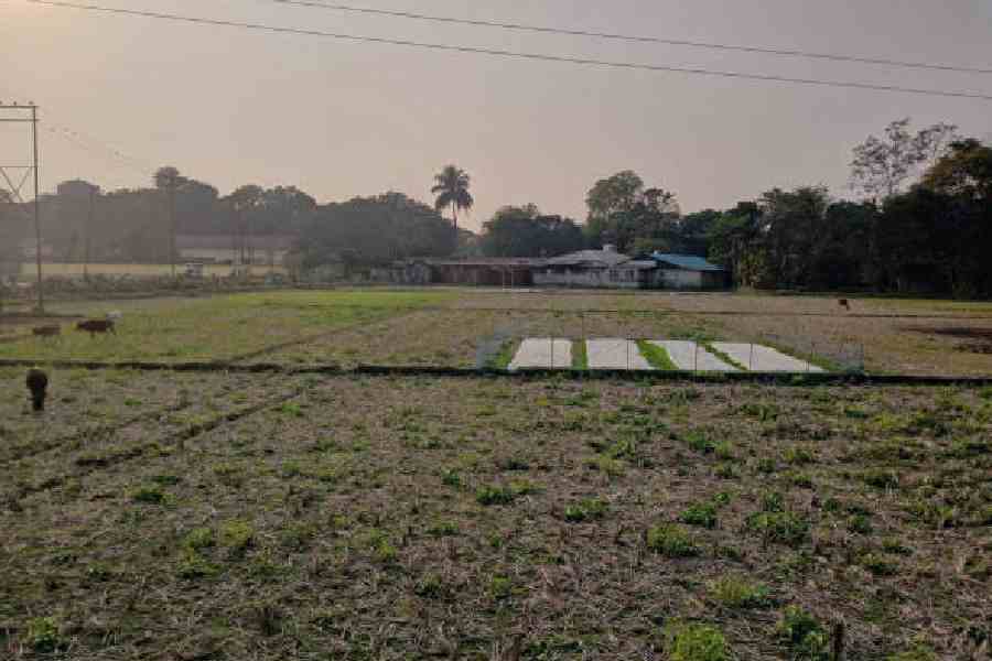 The site for the proposed hospital at DS colony in Alipurduar Junction. Picture by Anirban Choudhury