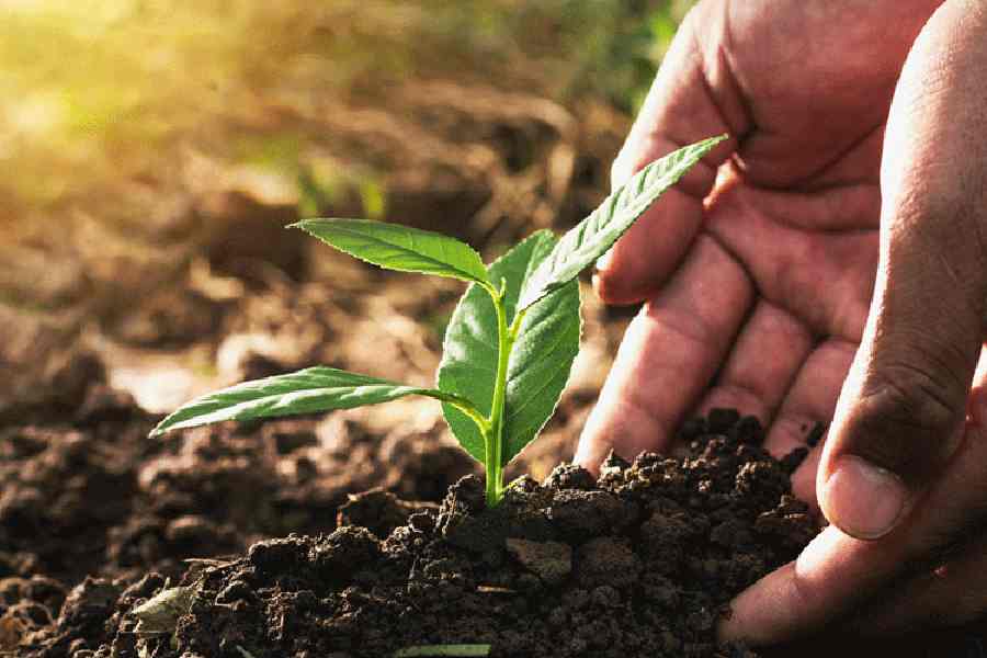 Representational picture