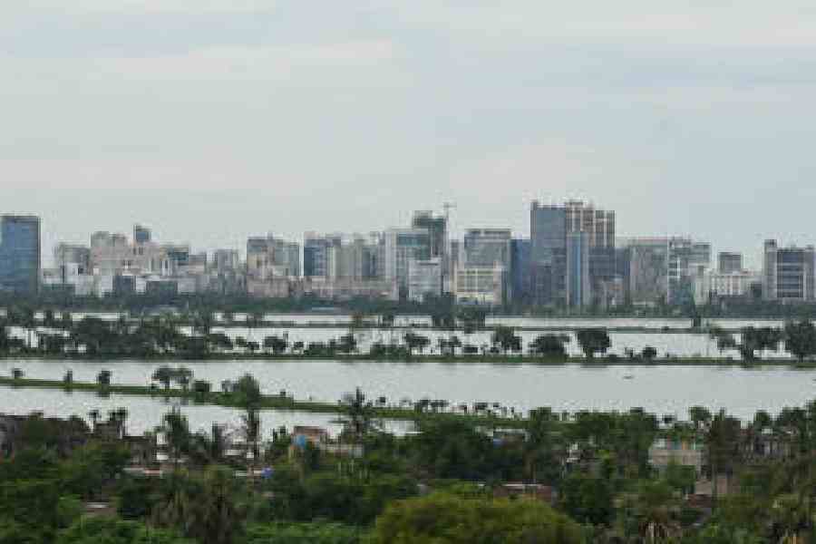 The East Kolkata Wetlands