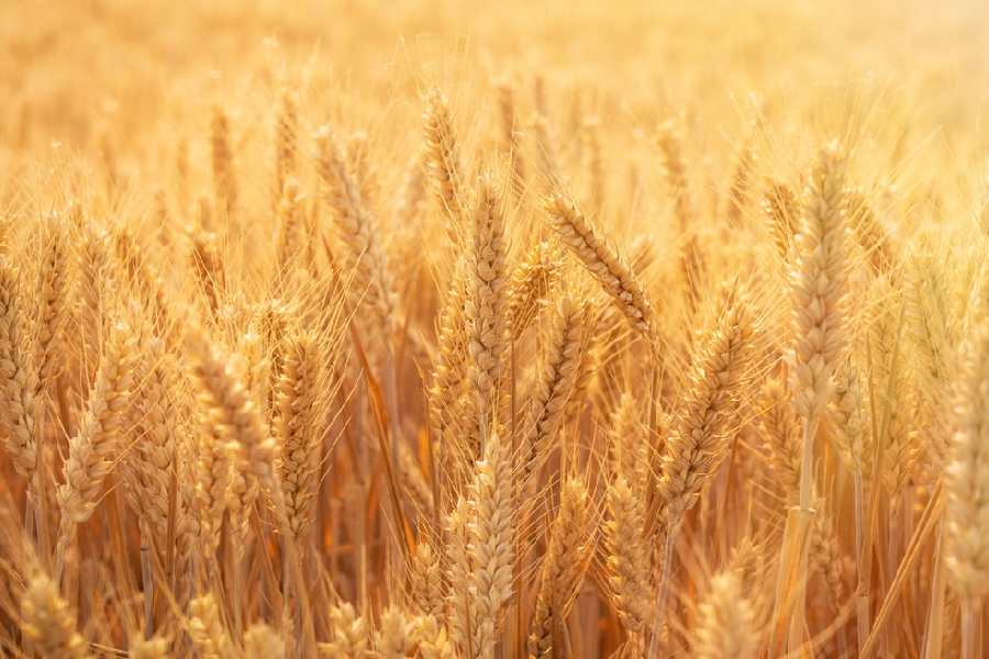 Representational image