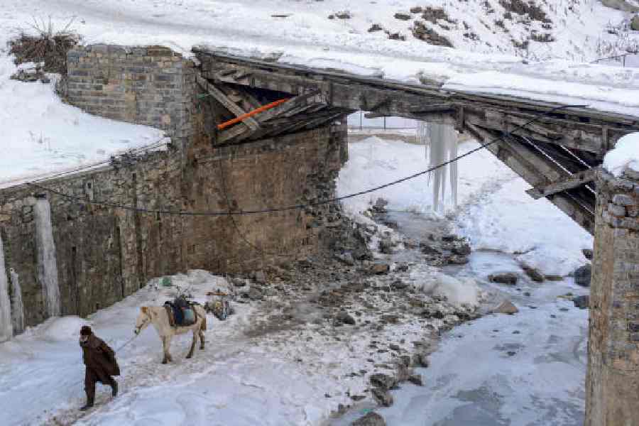 A handler with a pony makes his way after the area received fresh snowfall, in Sonamarg on January 12.