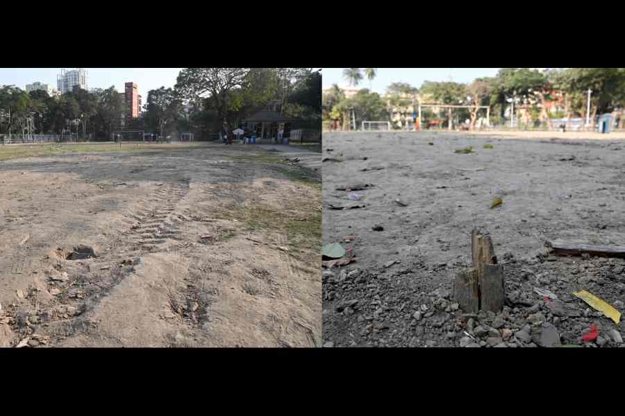 Tyre marks on the damaged grounds and (right) a bamboo pole dangerously sticks out of the soil at Maddox Square on Saturday.