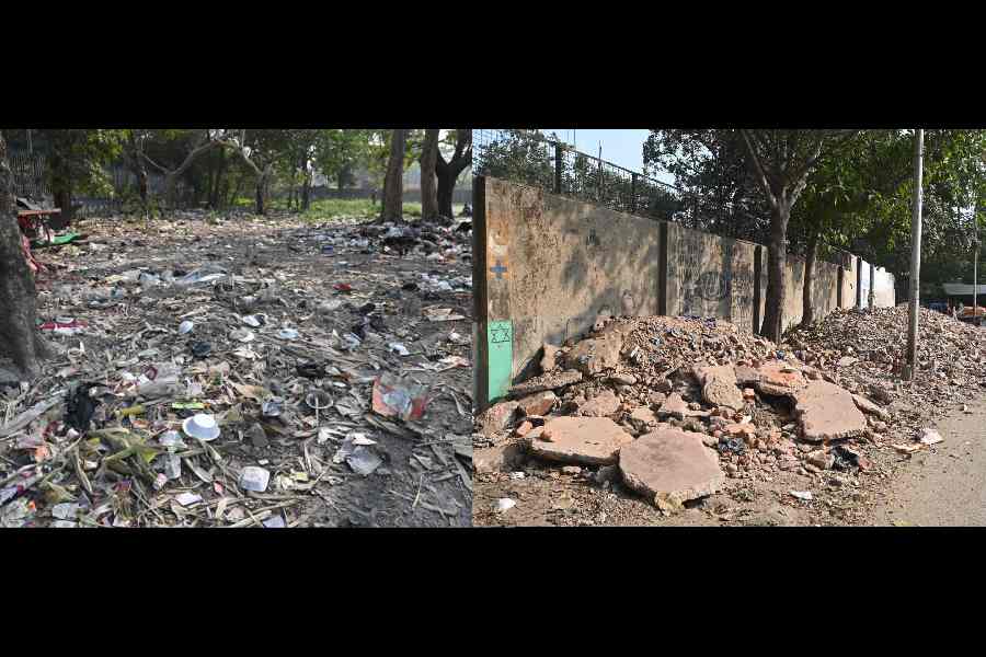 Piles of garbage on the Park Circus Maidan; (right) crushed concrete chunks and brick debris dumped in another portion of the park on Saturday 