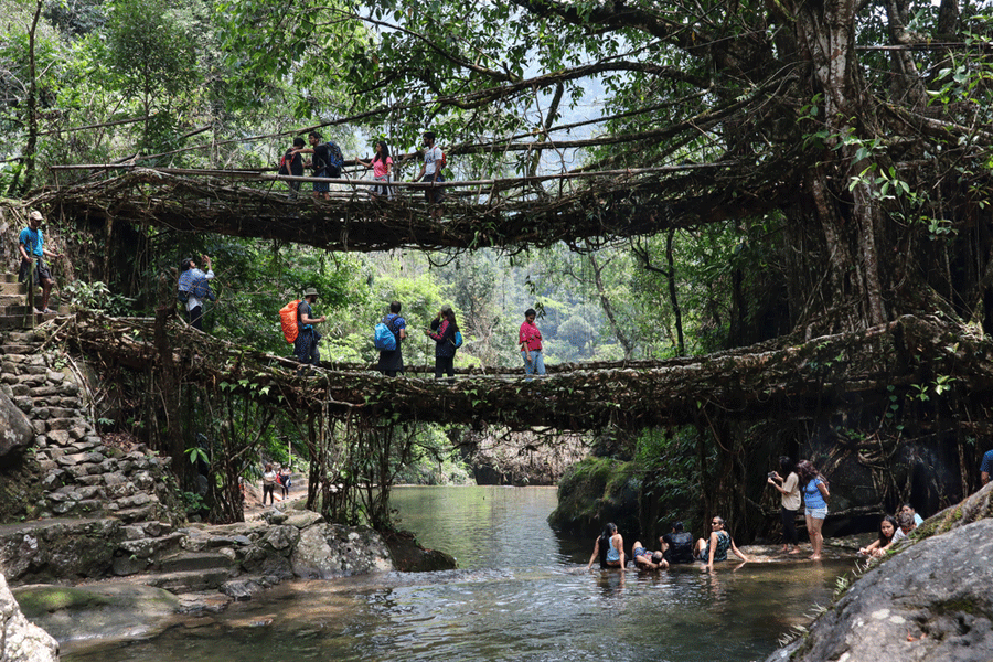 Meghalaya's living root bridges
