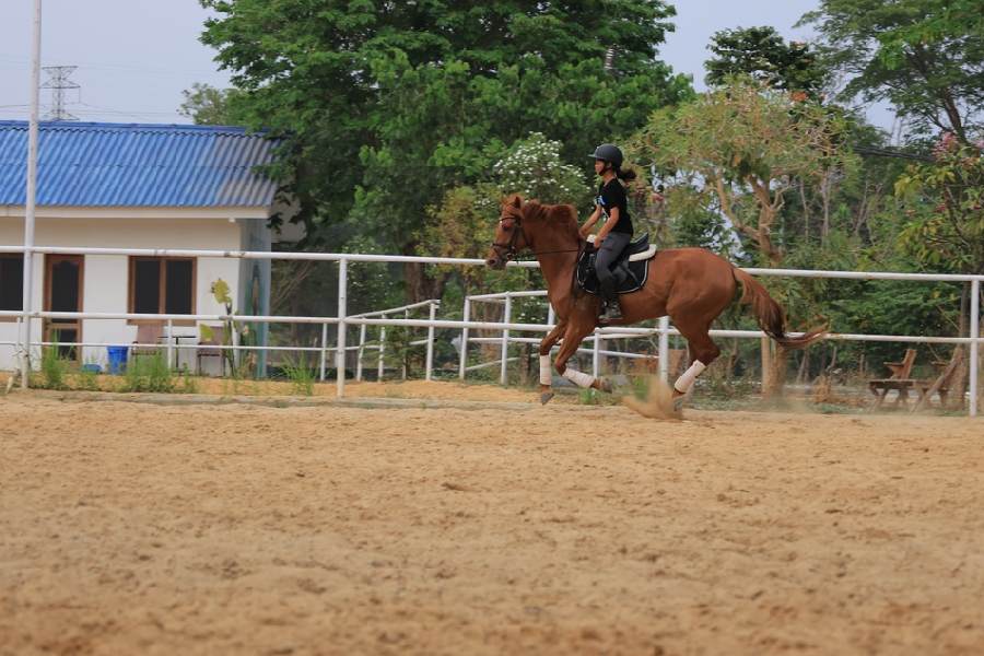 Representational image