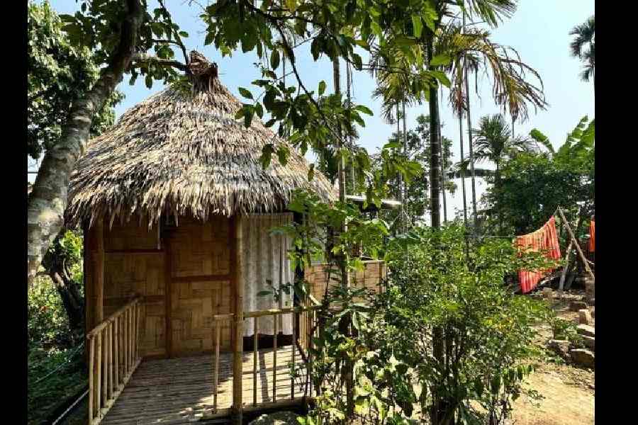 Mawlynnong cleanest village