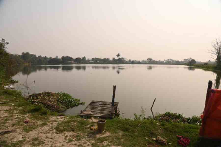 A fishery in Goyalbati, along the road between Nazirabad and the Kheyedaha II            gram panchayat office, on Wednesday. Picture by Bishwarup Dutta