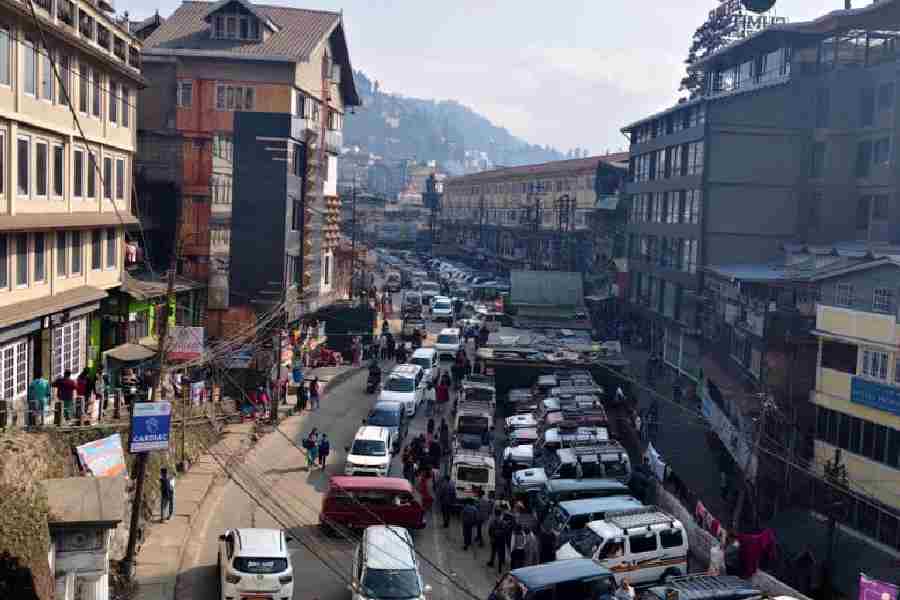 The Darjeeling motor stand