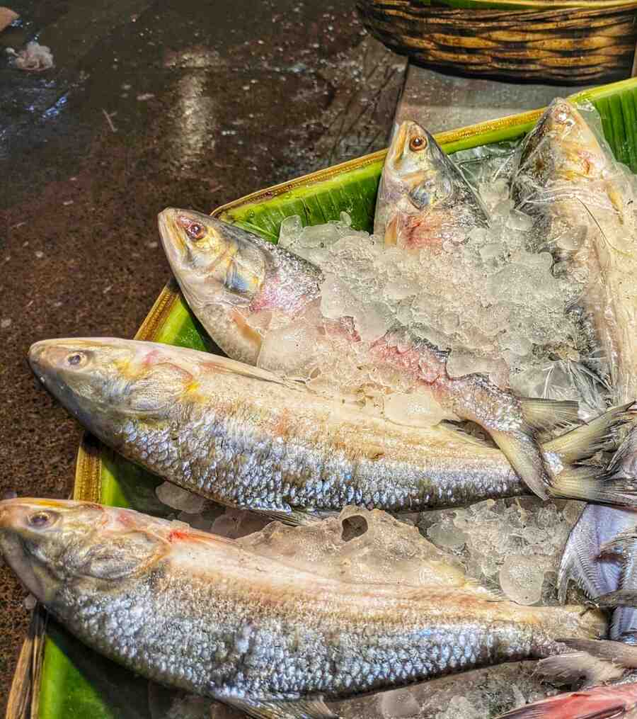 Consumers who bought hilsa this season say the frozen fish has failed to live up to expectations