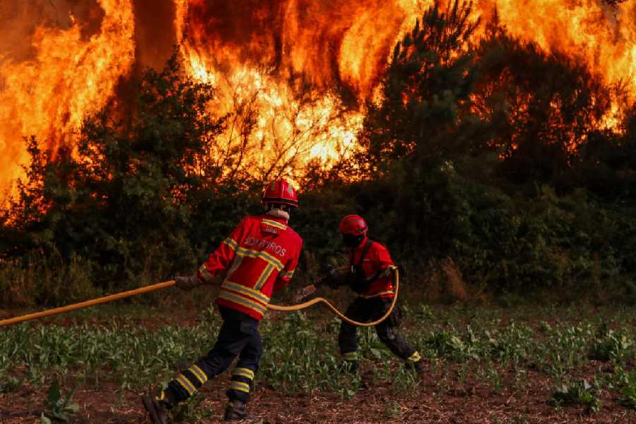 Firefighters work to prevent flames from advancing towards the village of Cercosa during a wildfire in Vouzela, Portugal, July 4, 2026.