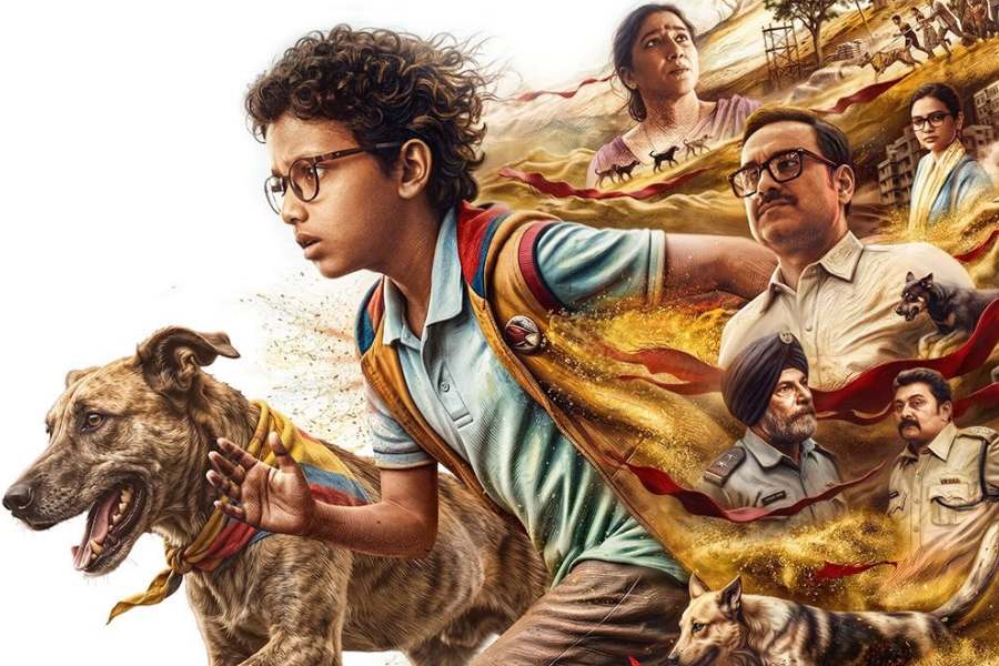 Poster of 'Ohh My Dog'