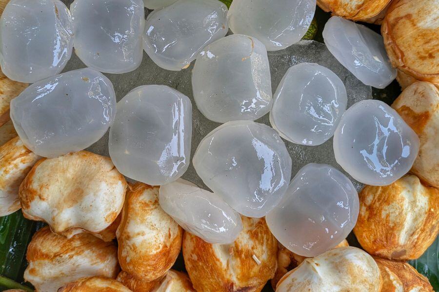 One palmyra fruit typically contains three ice apples
