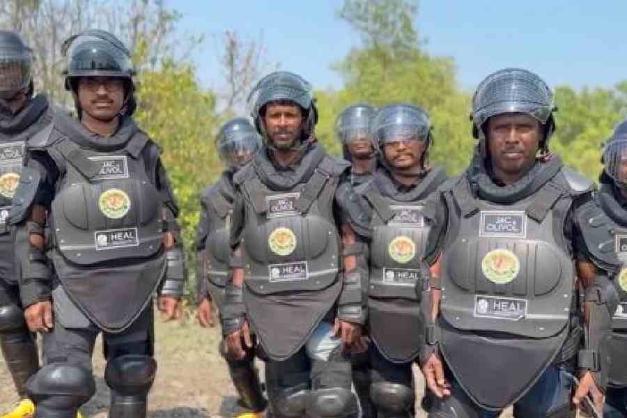 The newly introduced protective gear for tiger catchers