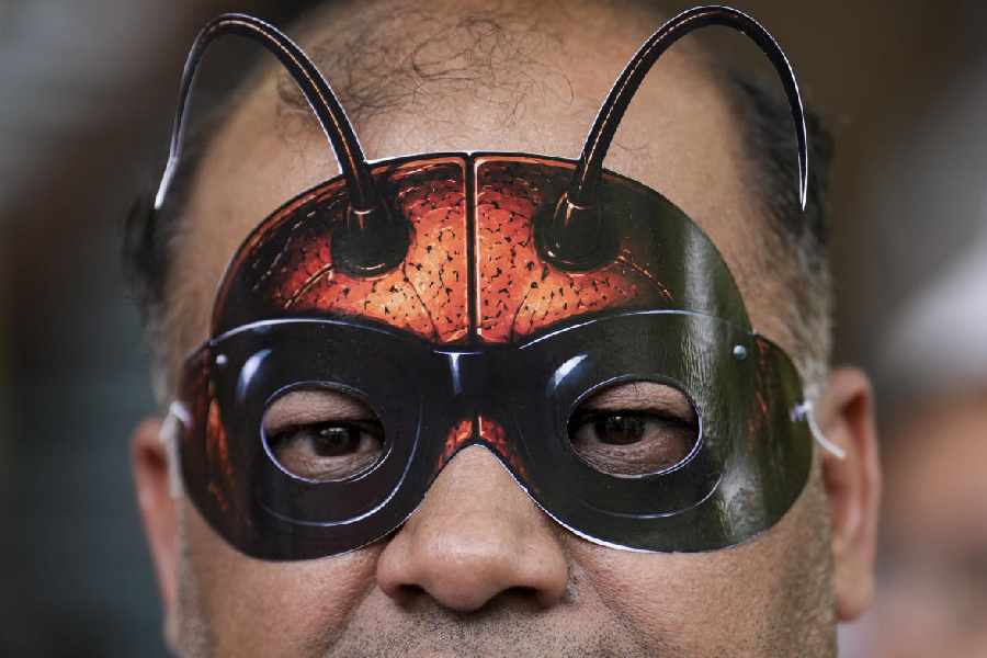  A Cockroach Janta Party (CJP) supporter wears a cockroach-themed mask during a protest demanding the resignation of Union Education Minister Dharmendra Pradhan over alleged examination-related lapses, at the Jantar Mantar, in New Delhi, Saturday, June 6, 2026.