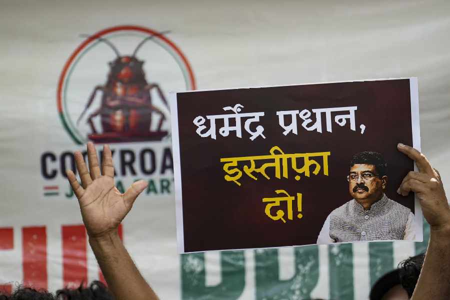 A Cockroach Janta Party's (CJP) supporter holds a placard during a protest demanding the resignation of Union Education Minister Dharmendra Pradhan over alleged examination-related lapses, at the Jantar Mantar, in New Delhi, Saturday, June 6, 2026. 