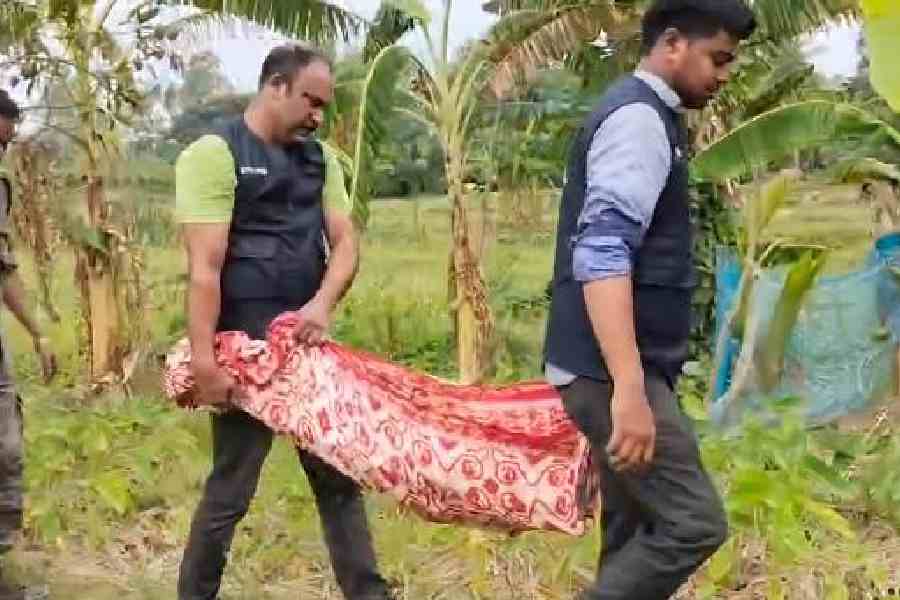 STF personnel take away the recovered arms in Sandeshkhali on Saturday morning