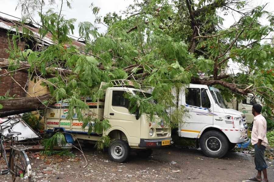 Uprooted trees, vehicles damaged in Cyclone Amphan in Barasat area.