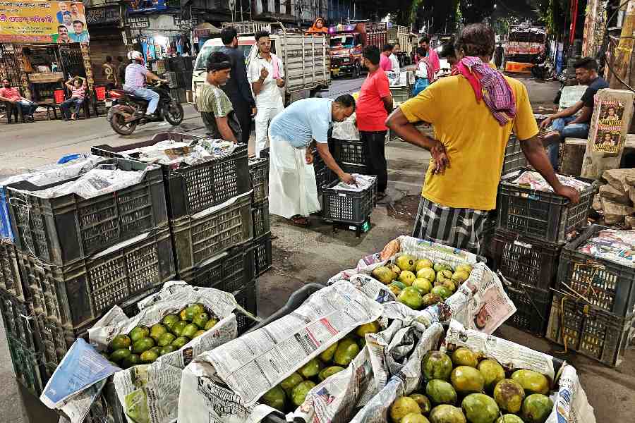 As Kolkata winds down for the night, the College Street crossing comes alive. Trucks arrive bearing crates of mangoes and traders negotiate prices at wholesale rates. My Kolkata hit the street to take a stroll through the city’s night mango market