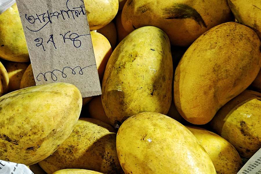 Every night, the familiar morning vegetable bazaar at College Street changes character. Around 11pm, trucks of mangoes unload on the road, turning the area into a busy wholesale fruit market