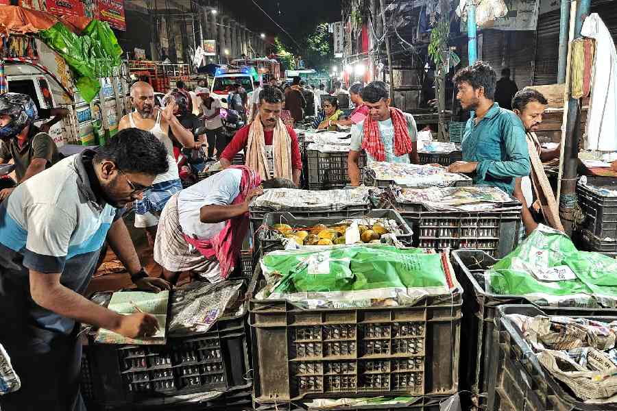 Most of the mangoes of this wholesale market arrive from North 24 Paraganas, Basirhat. Nadia’s Santipur varieties are also commonly seen
