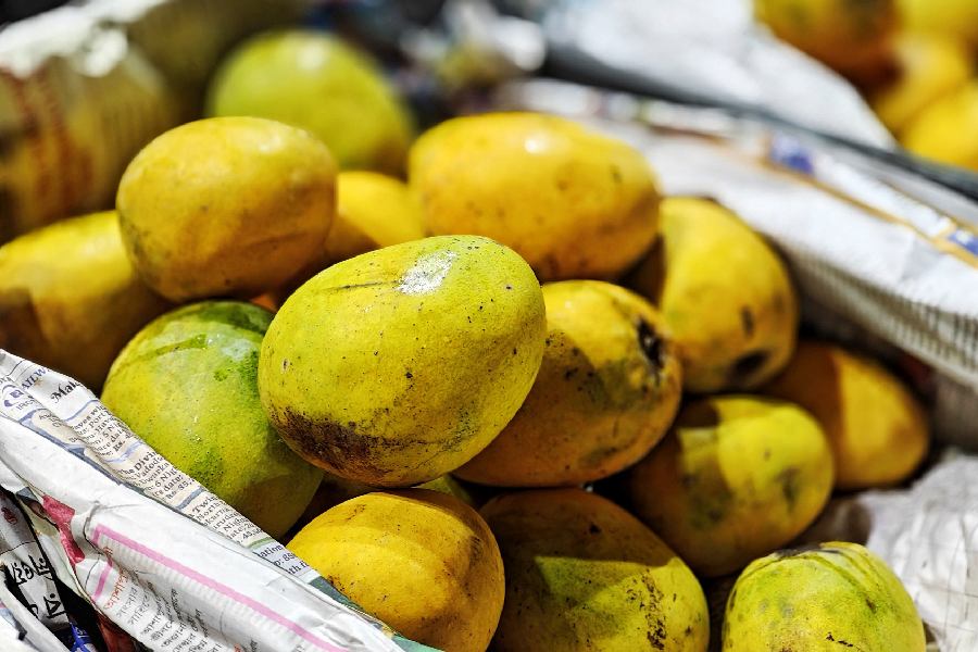 Buyers can find local favourites such as Himsagar, Amrapali, Langra, Gulabkhas, Chausa, Ranibhog and Dasheri