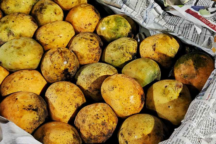 The buyers are mostly local fruit sellers who purchase in bulk before transporting the mangoes to markets across Kolkata