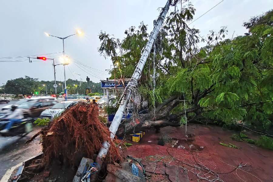 An uprooted pole on Red Road