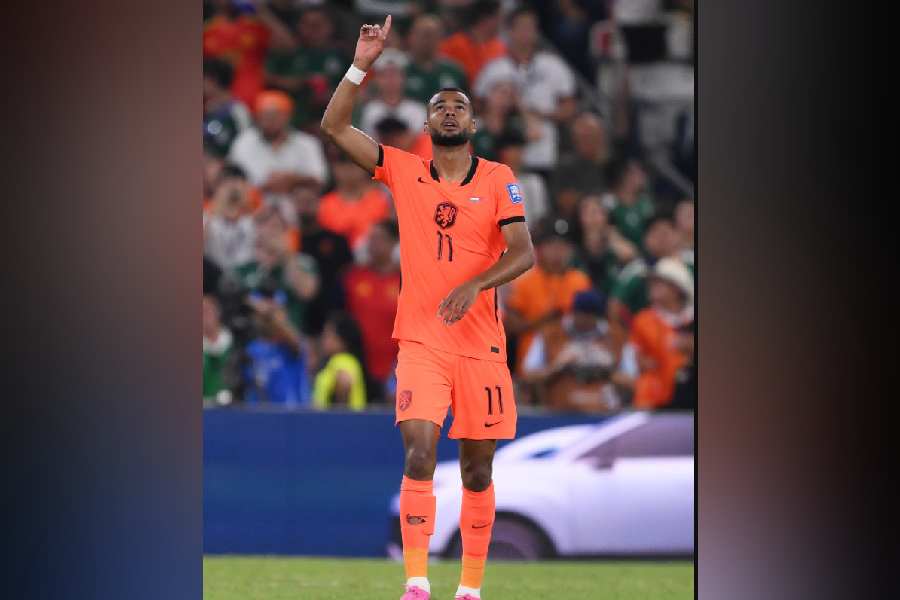 Dutch football player Cody Gakpo