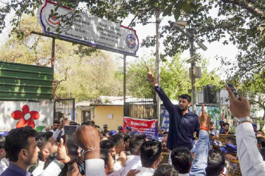 Uday Bhanu Chib bail AI summit protest