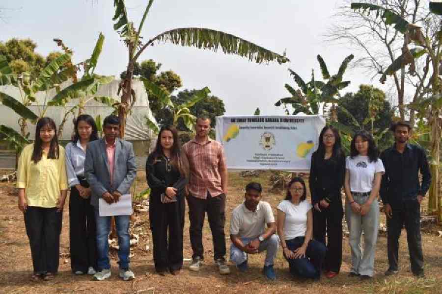 Musa sikkimensis genetic diversity