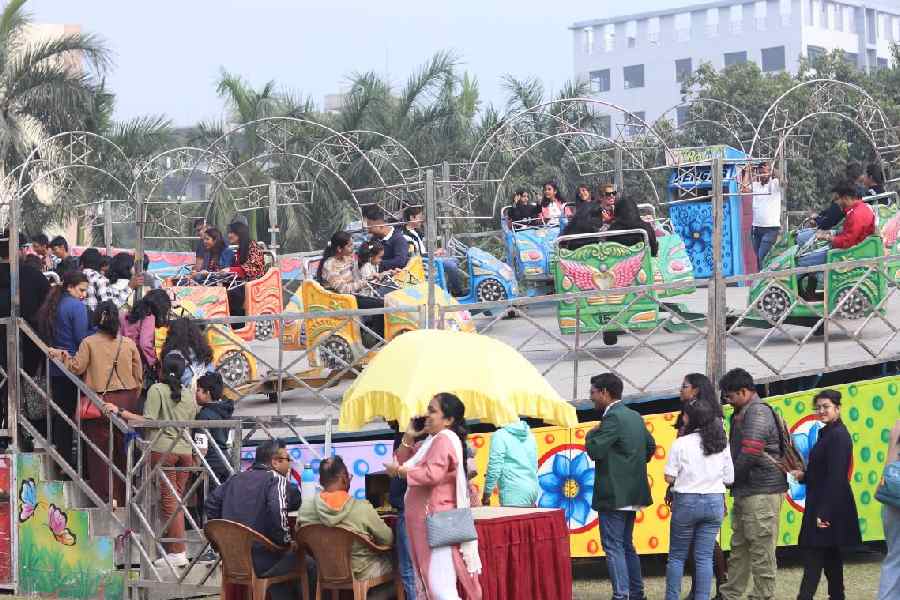 DPS Newtown carnival 2025