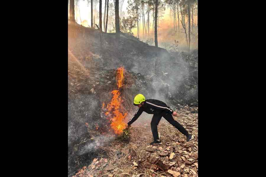 Uttarakhand forest fire Chamoli