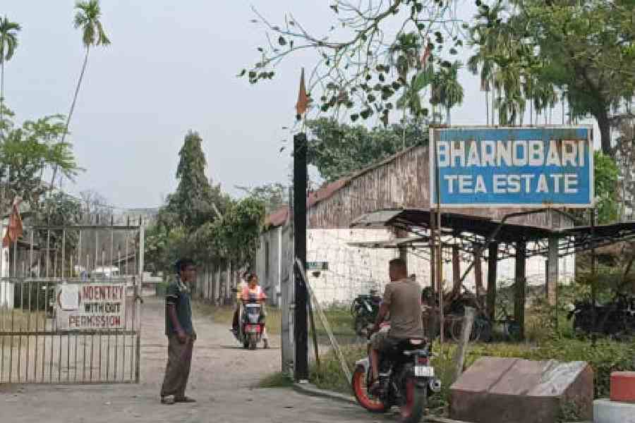 Strait of Hormuz tea exports threat