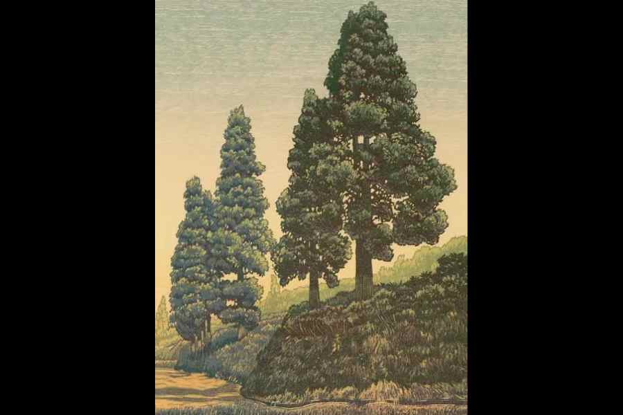 Above the Clouds by Raja Boro 