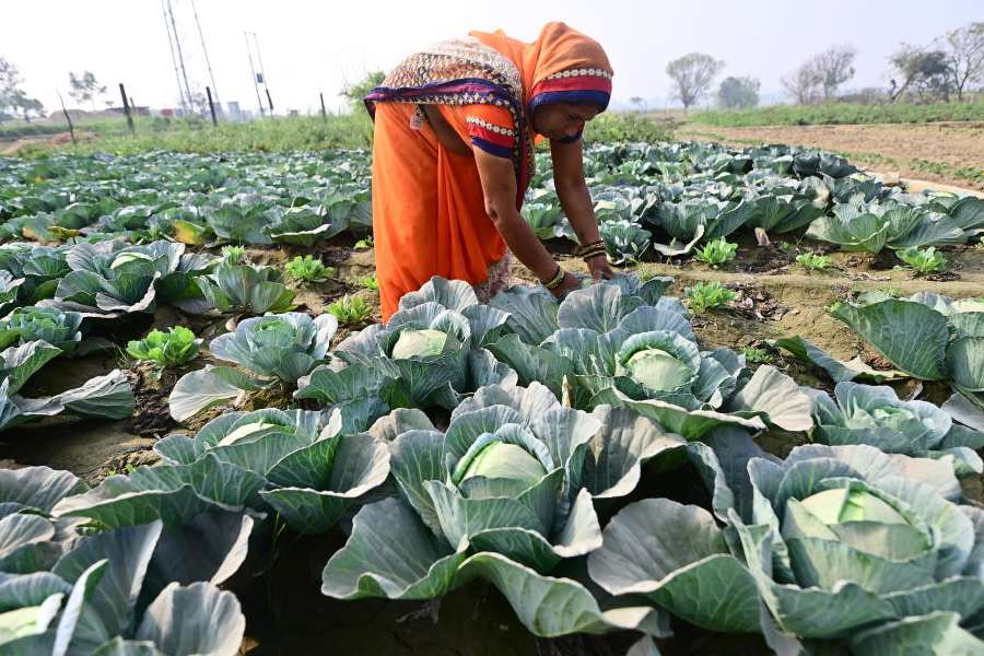 Representational image