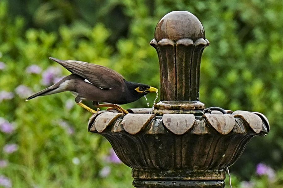 Representational image