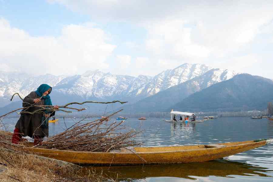 Mughali Bano, 78, loads twigs onto her boat to prepare them for winter charcoal, in the waters of Dal Lake, on a cold winter day in Srinagar, Indian Kashmir, February 4, 2026.