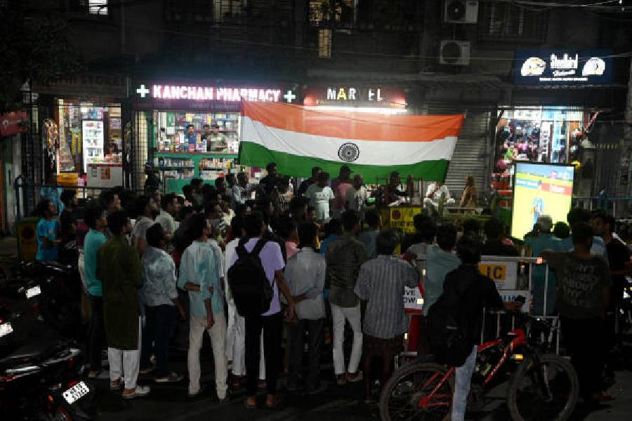 India T20 World Cup win