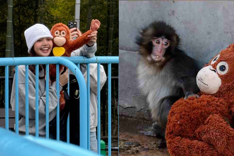 Blackpink member visits Ichikawa City Zoo in Japan to meet Punch