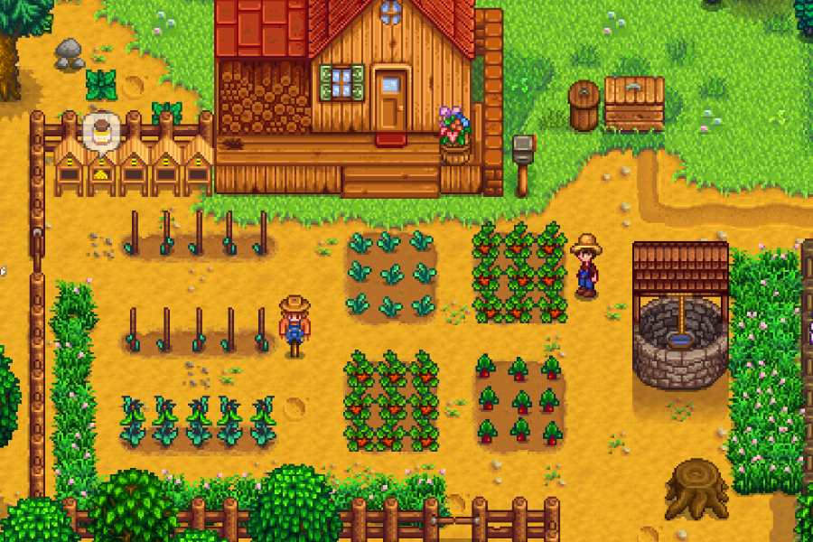 Stardew Valley