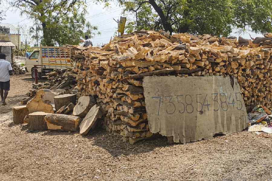 A pile of firewood seen at a depot in Madurai, Tuesday, March 10, 2026. Firewood price are said to have increased amid a shorage in supply of LPG cylinders