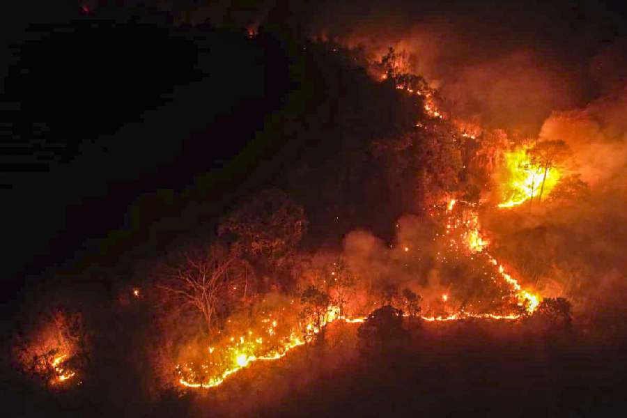 Forest fire in Arunachal Pradesh
