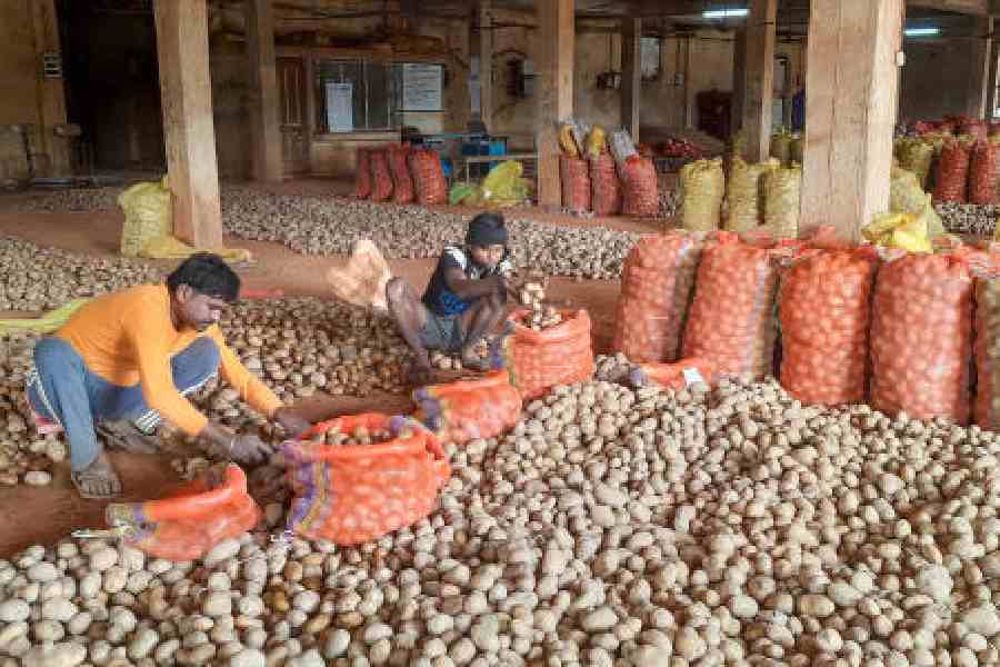 potato price drop TMC election trouble south districts