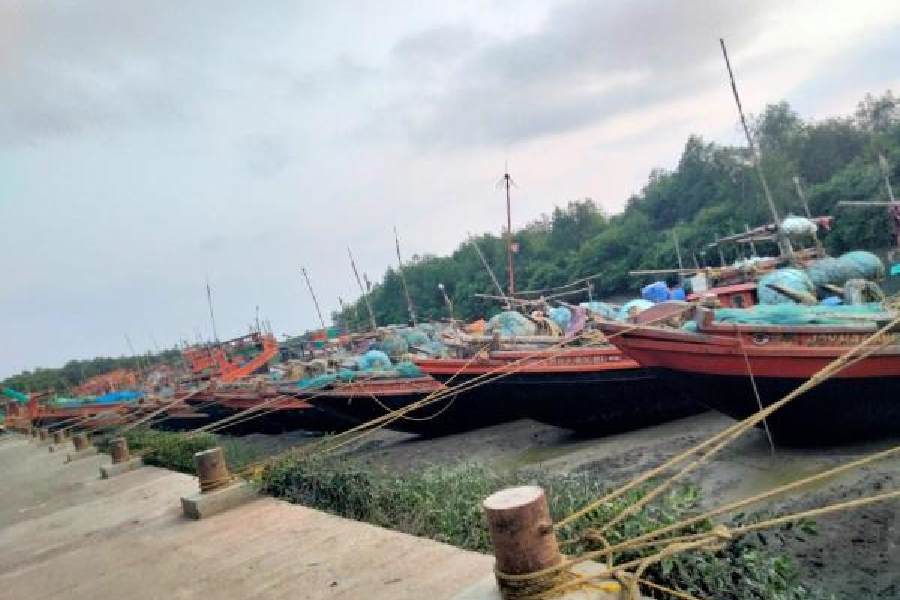Rows of trawlers anchored in Kakdwip on Friday