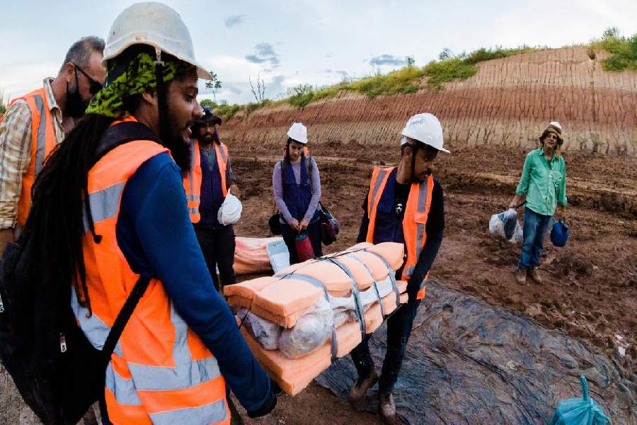 giant dinosaur fossil found